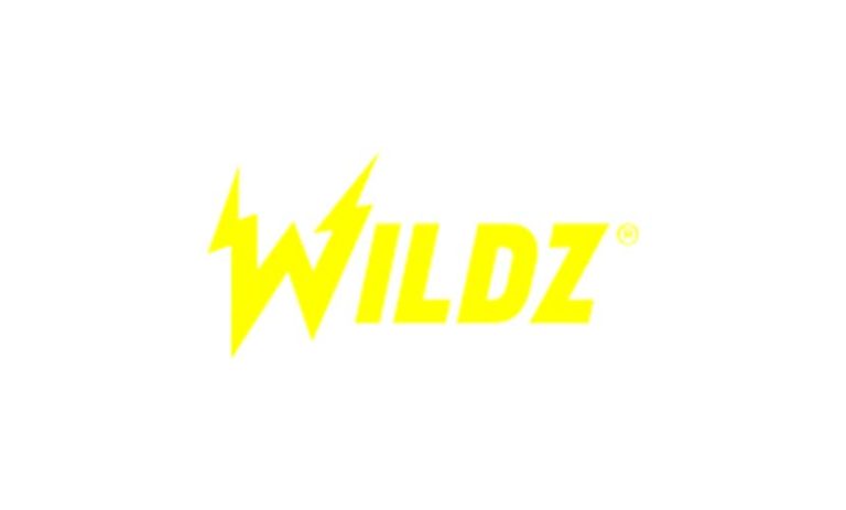 Обзор казино Wildz